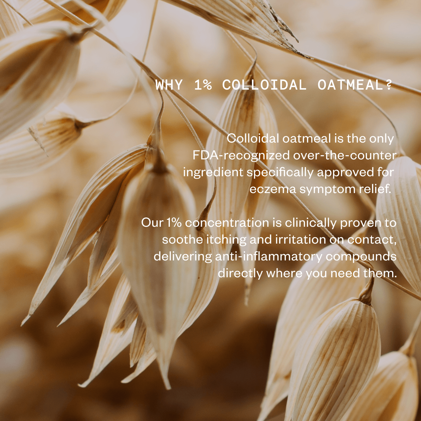 ECZEMA THERAPY CREAM